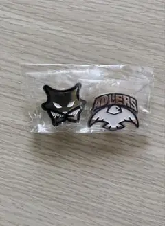 ハイキュー クロニクル ピンズ