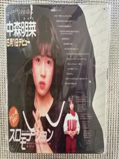 新品　中森明菜　イメージオマージュアルミプレートブリキ看板⑦
