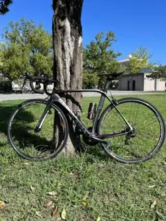 Y*n様 De Rosa スーパーキング フレームセット 3月初旬まで DeRaosa Super King キングを冠した入手困難大人気モデル