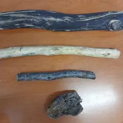 Item thumbnail for item ff2367be-bf7f-47f7-8fc2-6e2c794fe39b