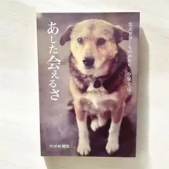 2025年最新】あした会えるさ―忠犬タローものがたりの人気
