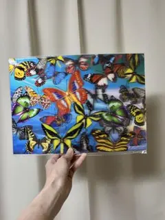 蝶々の３Ｄの絵