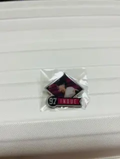 ピンズ 井上温大