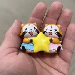 レッサーパンダ マグネット 星付き
