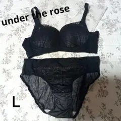 undertherose アンダーザローズ 整形級谷間 ブラ セット リボン M 小胸さん向け】整形級谷間 BLACK＆PINK 3点SET – UNDERTHEROSE