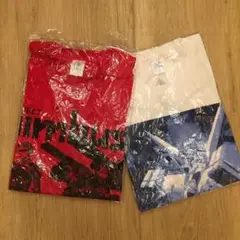 ［新品/未着用］メンズ Tシャツ 2枚セット Lサイズ 赤 白