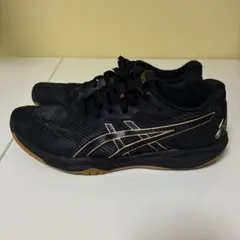 Item thumbnail for item d01f796b-0541-46b2-b063-219bd1f32388