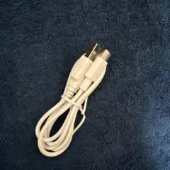 USB to typeCケーブル ホワイト