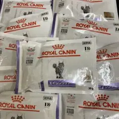ロイヤルカナン 猫 エイジングケア 30g ×10袋