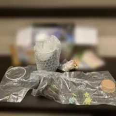 Item thumbnail for item 352c69d4-999e-4c21-b08d-71335c608b39