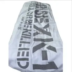 新品☆RISE ☆K-1 ☆RSCタオル　　　　　　2枚セット　格闘技