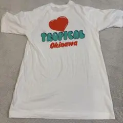 ANA 全日空 Okinawa tシャツ Mサイズ 沖縄