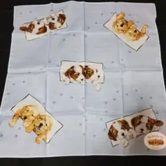 GuGuWorld 子犬デザイン ハンカチ 約45cm