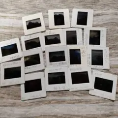 Item thumbnail for item e04b8081-f5a0-4639-baaf-691dc18273e1