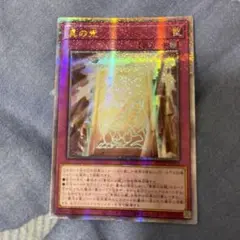 遊戯王　真の光　アジア版　25thシークレット 遊戯王 真の光 25th シークレット 裏面キズあり アジア版 - メルカリ