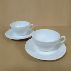 Richard Ginori リチャードジノリ カップ&ソーサー 2客セット