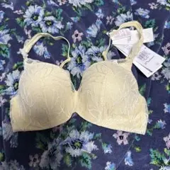 Item thumbnail for item 946622b2-e180-47ad-b150-095fb2db9919