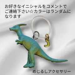 恐竜のめじるしアクセサリー(⁠.⁠ ⁠❛⁠ ⁠ᴗ⁠ ⁠❛⁠.⁠)