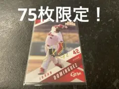 EPOCH PREMIER 2025 広島東洋カープ J.ドミンゲス