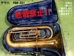 Item thumbnail for item 0b1cd1a7-4793-4d15-a0a5-cc3e540854ba