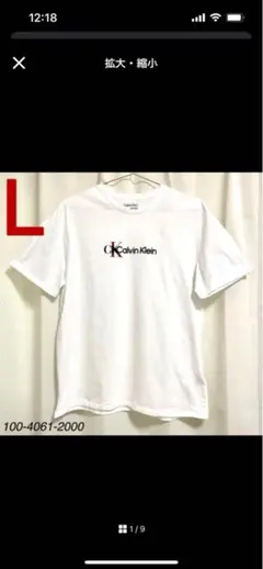 Calvin Klein CKロゴ　Tシャツ ホワイト Lサイズ　メンズ