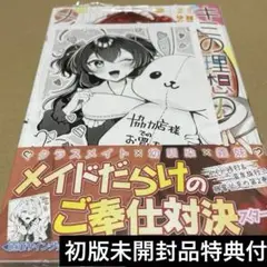 2527キミの理想のメイドになる!2 初版未開封品特典付