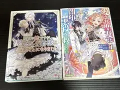 異世界ファンタジー小説2冊セット