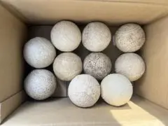 軟式ボール J球