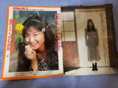 斉藤由貴　切り抜き