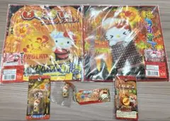 Sanrio　サンリオ　ご当地キティ　新潟　長岡花火　フェニックス