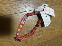 新品犬首輪