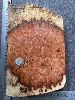 Item thumbnail for item c1cbc2cd-8bd1-44e2-86bc-7455f08a2c3b