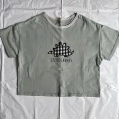 ステゴサウルス クロップドTシャツ グリーン120