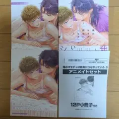 俺のオモチャは親友につながっている 3　アニメイト限定セット
