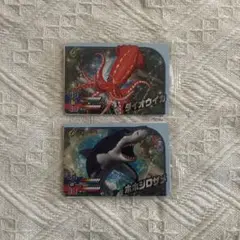 ダイオウイカ ホホジロザメ 釣りスピリッツ コロコロ魂フェスティバル