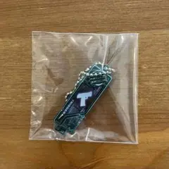 仮面ライダーW ガイアメモリ メタルチャームコレクション トリガー
