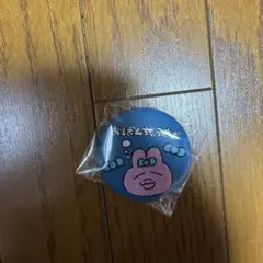 【新品未使用】　おぱんちゅうさぎ　布　缶バッジ