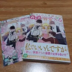 売られた花嫁は義家族に溺愛される(コミック)1　新刊