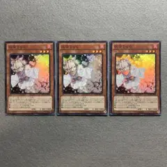 2025年最新】遊戯王 灰流うらら MACR-JP036の人気アイテム
