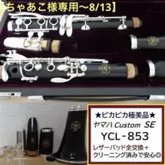 【美品 メンテナンス済】　YAMAHA YCL853SE クラリネット ☆調整済☆美品☆ ヤマハ クラリネット SE-V YCL-853ⅡV 皮製