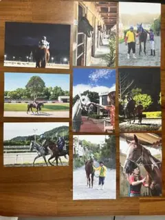 高知競馬 ポストカード9枚セット