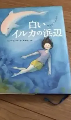 白いイルカの浜辺