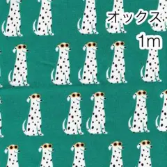 ラスト 1m ダルメシアン柄 グリーン オックス
