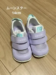 Item thumbnail for item b87f8f9f-5680-4992-80c7-8305911d9d90