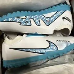 未使用　NIKE トレシュー