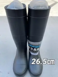 Item thumbnail for item 64969242-ce51-4339-b59c-e27d12635eb3