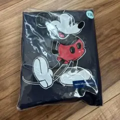 Item thumbnail for item 157ad420-0547-4138-86ec-af4ba8fbc8d3