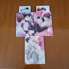 いつわりの愛～契約婚の旦那さまは甘すぎる(4)&今夜、めちゃくちゃに抱きます上下