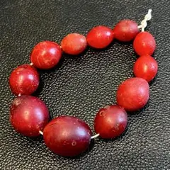 【大迫力】エチオピアンチェリー 11玉 一連