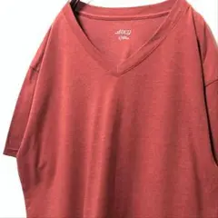 bcg 無地 プレーンTシャツ ピンク 桃色 朱色L 古着